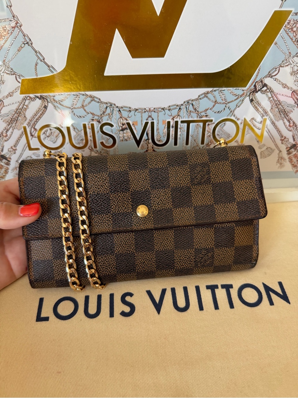 Louis Vuitton Damier Ebene Long Wallet on Chain